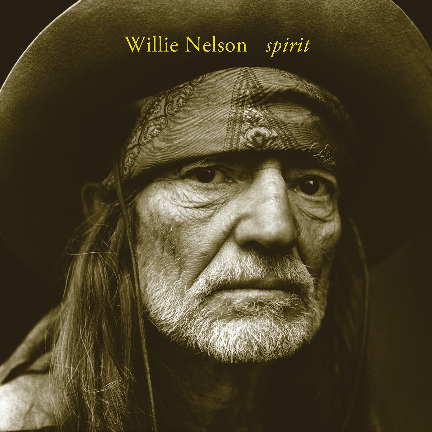 Willie Nelson - Spirit: Vinyl LP