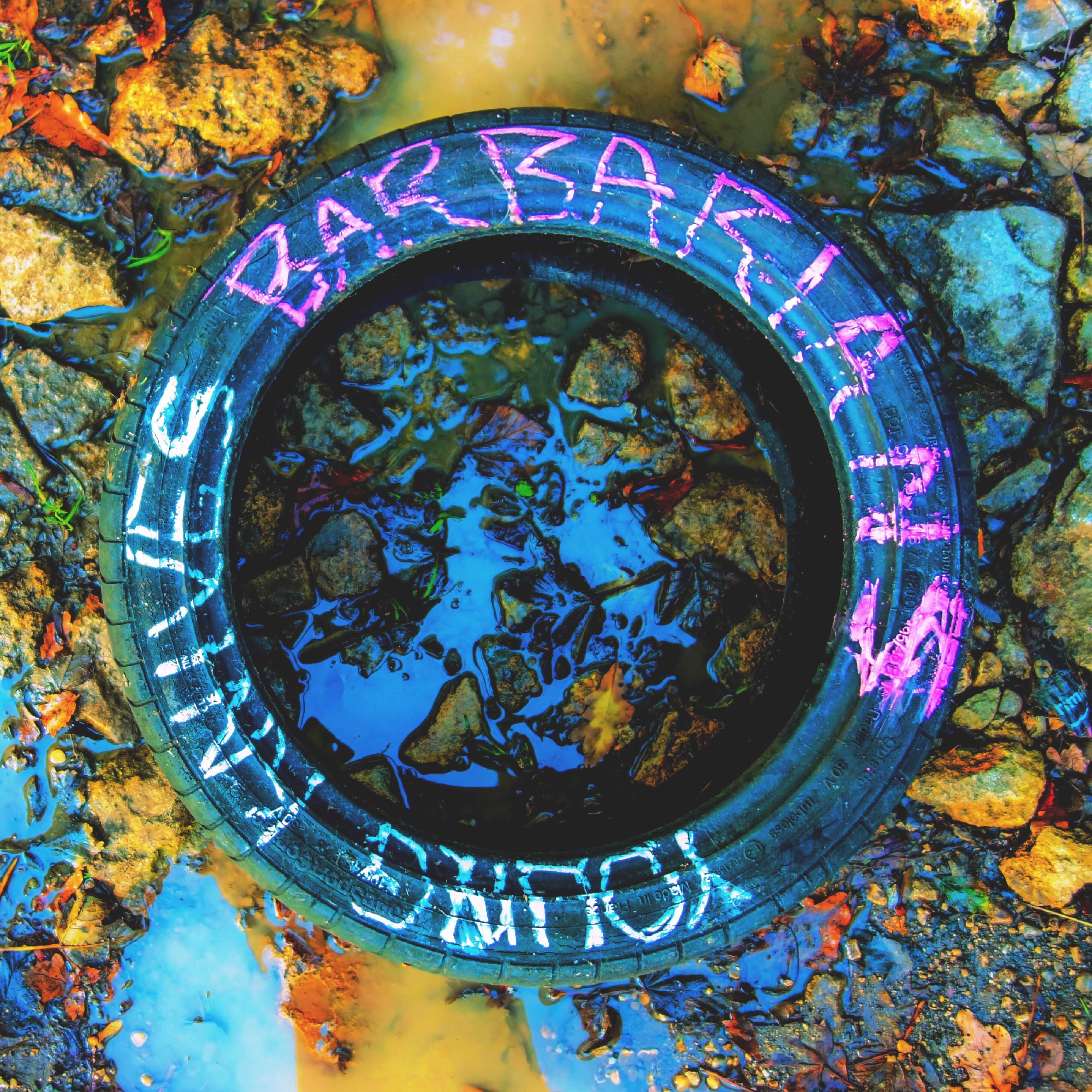 Barbarians: Vinyl LP