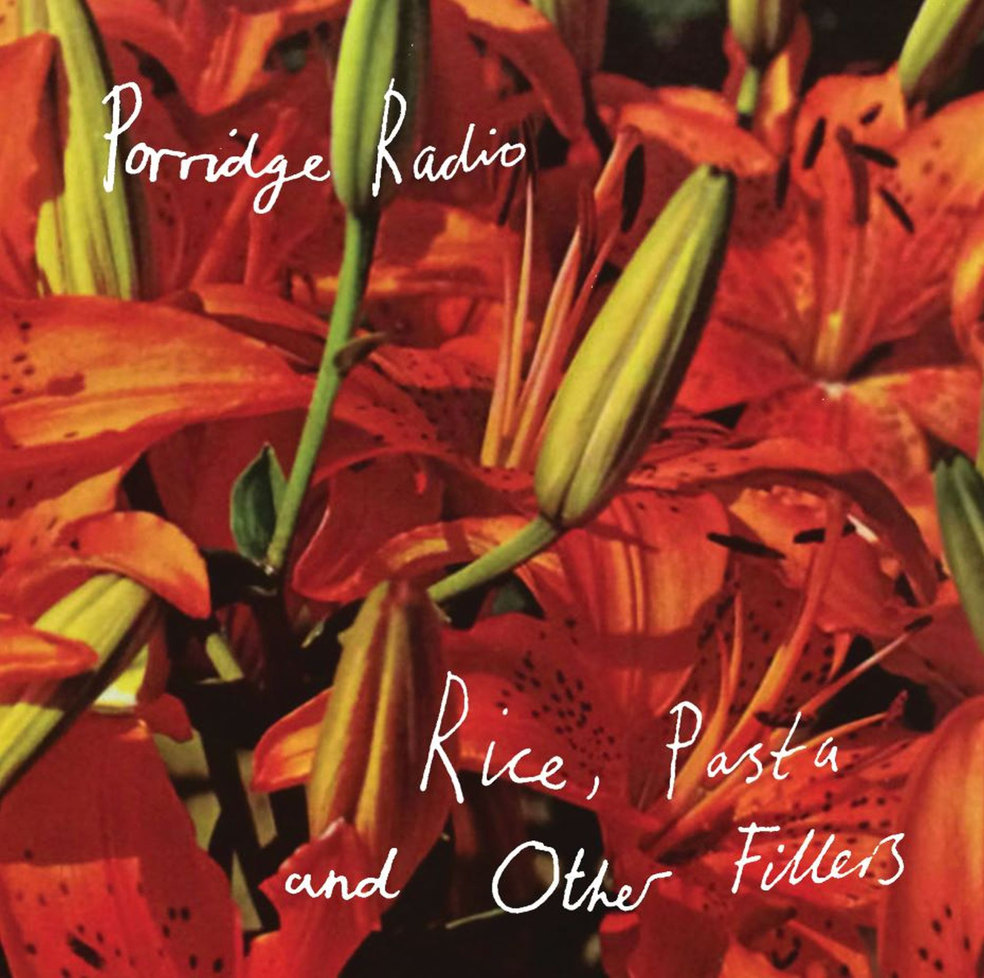 Porridge Radio - Rice, Pasta and Other Fillers Memorials of Distinction: Vinyl LP