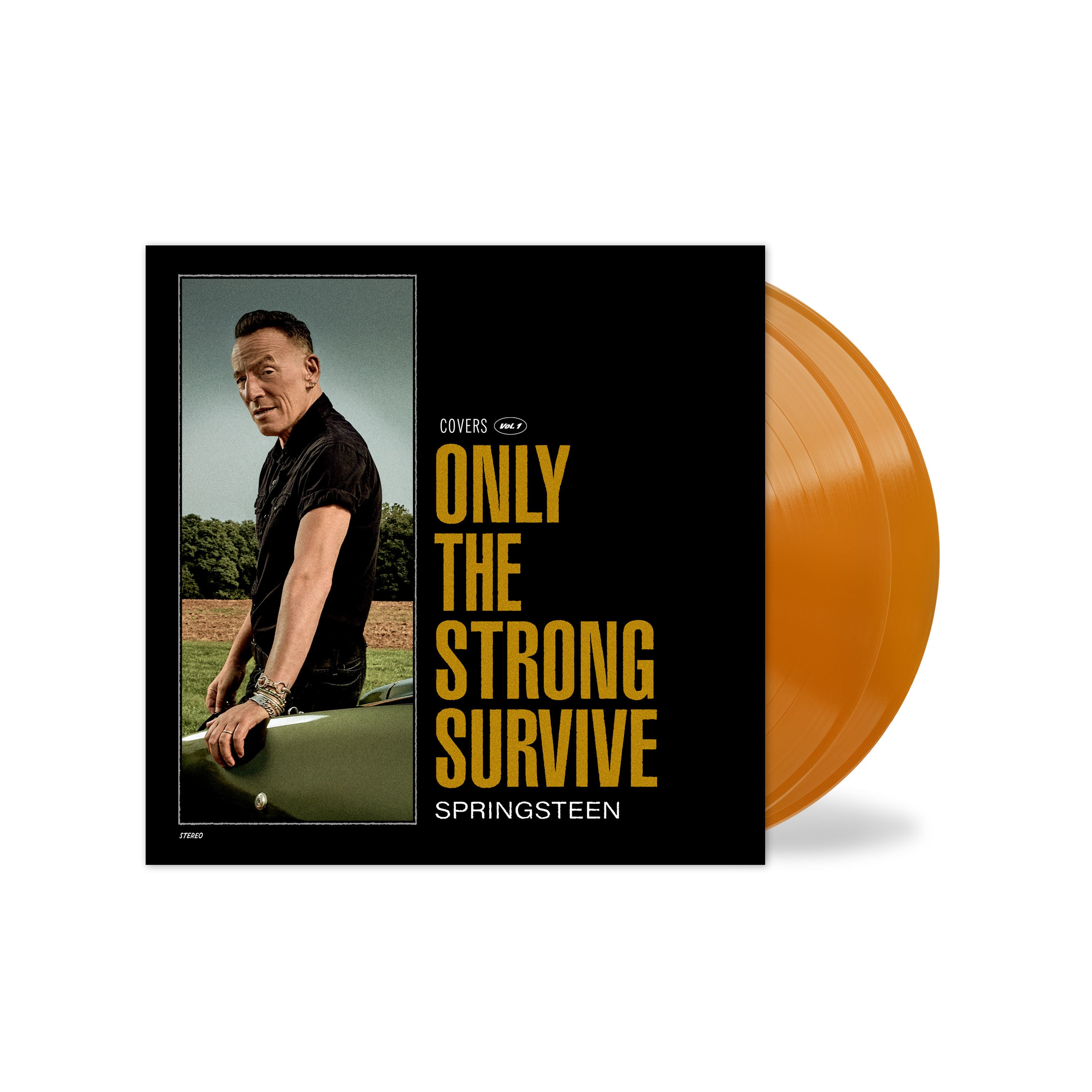 Bruce Springsteen - Only The Strong Survive: Limited Orange Vinyl 2LP w/ Etched D-Side