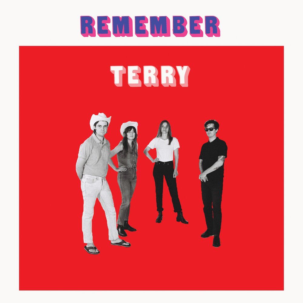 Remember Terry: Vinyl LP