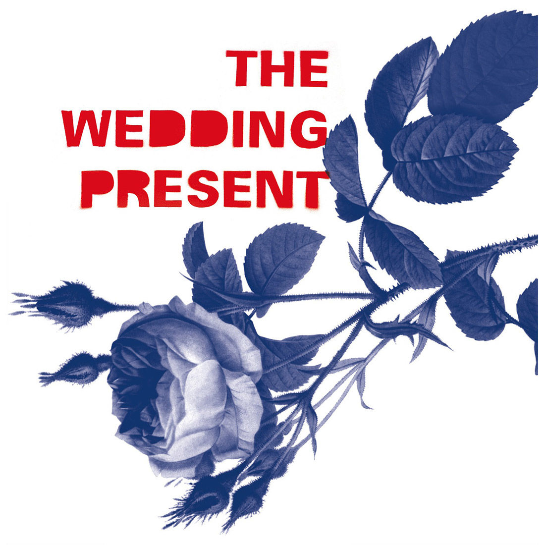 The Wedding Present - Tommy 30: Vinyl LP