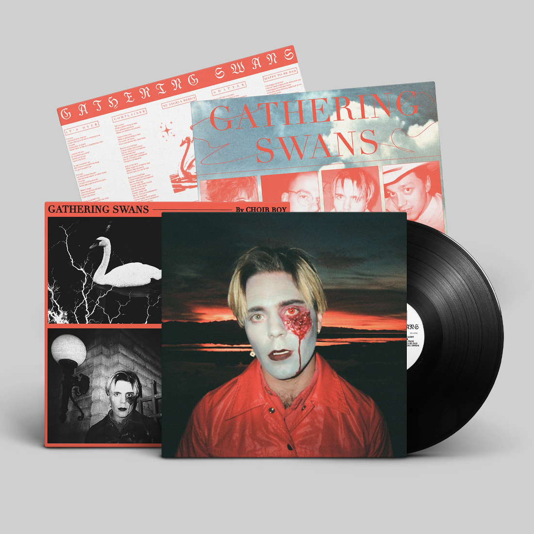 Gathering Swans: Vinyl LP