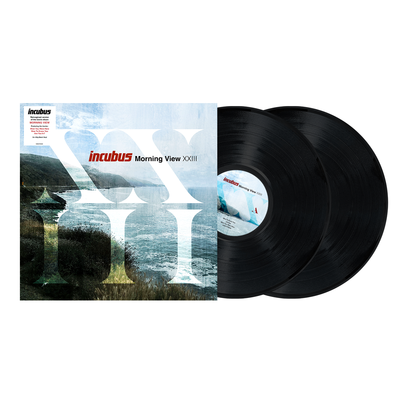 Incubus - Morning View XXII: Vinyl 2LP