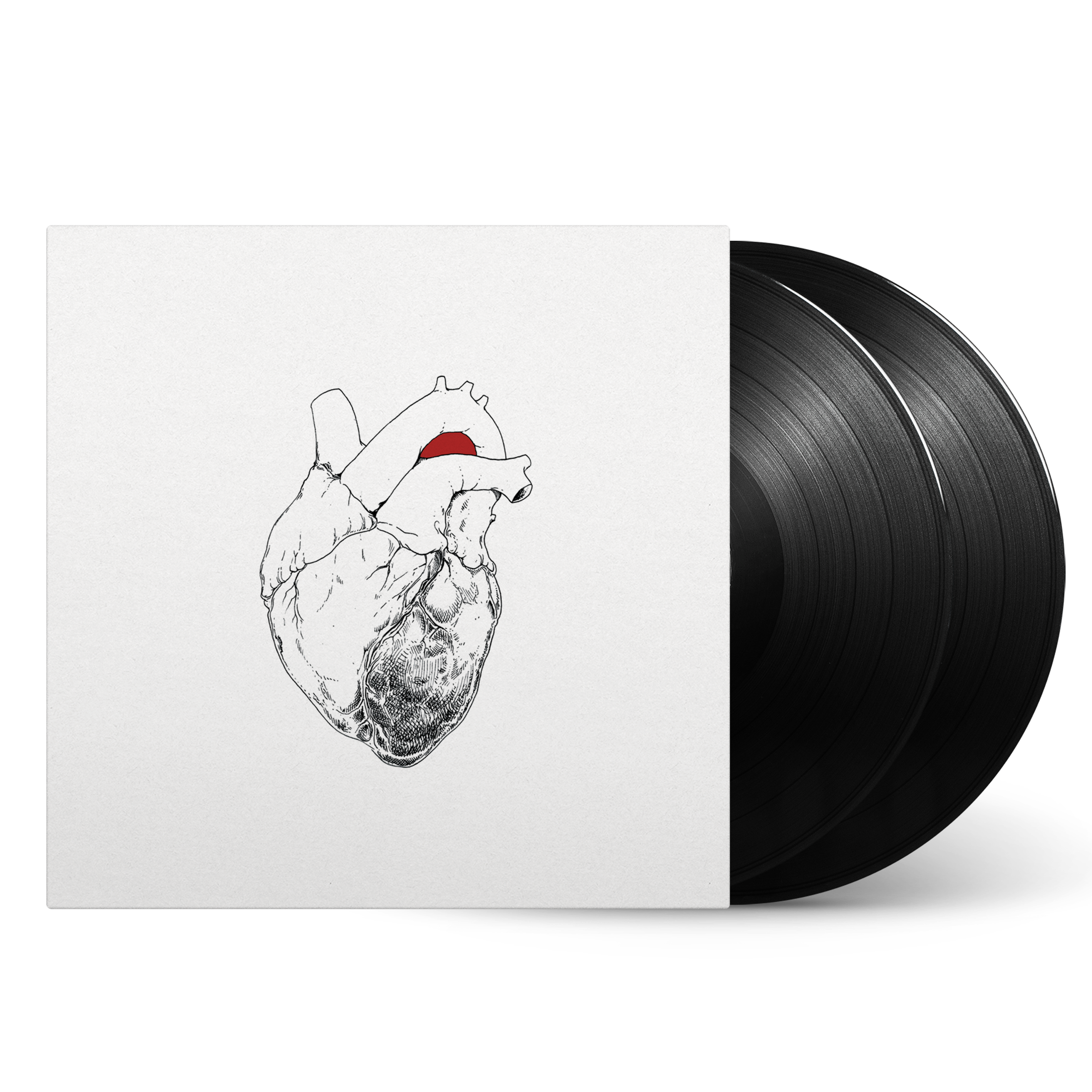 Swans - The Beggar: Vinyl 2LP